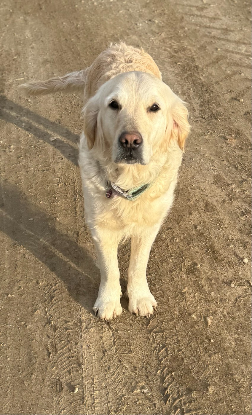 Tena (Tia) (Sans Affixe)